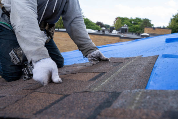 Best Commercial Roofing Services  in Manila, AR