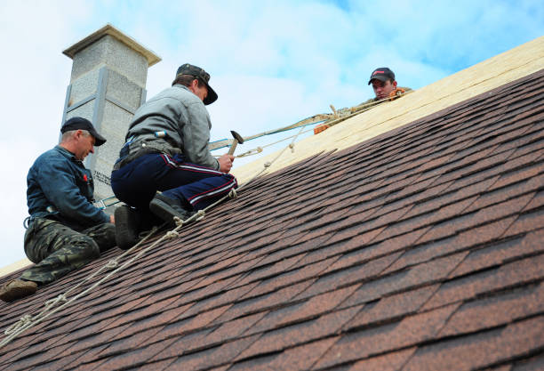 Quick and Trustworthy Emergency Roof Repair Services in Manila, AR